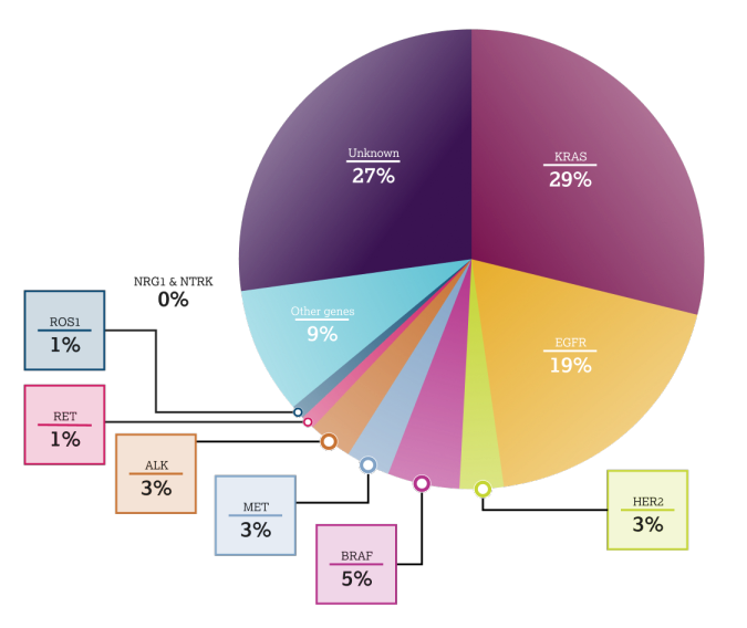 Molecular landscape of NSCLC – Pie Chart